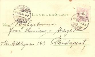 1897 (Vorläufer!) Fiume, Schloss Tersatto / Castle. Carl Otto Hayd No. 125. Floral, Art Nouveau, lit...