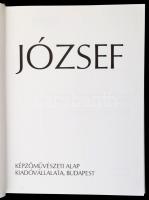 Láncz Sándor: Egry József. Bp., 1973, Corvina. Kiadói egészvászon-kötésben. Papír védőborítóval