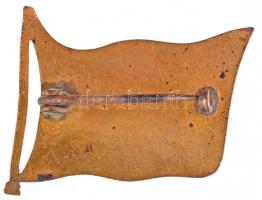 Osztrák-Magyar Monarchia ~1914-1918. Aranyozott, zománcozott fém zászlós patrióta jelvény az osztrák...