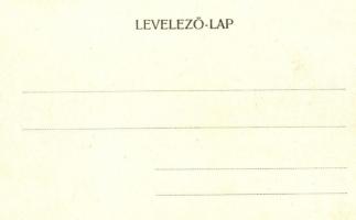 Fogaras, Fagaras; Olt-híd, Apaffy fejedelem kastélya a XIV. századból / bridge with castle