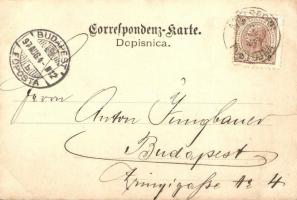 1897 (Vorläufer!) Postojna, Postumia, Adelsberg; Zastor, Ferdinandova jama, Plesisce / cave interior...