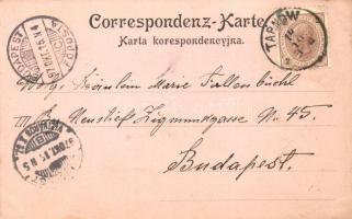 1897 (Vorläufer!) Tarnów, street views with church. Kamil Baum's Art Nouveau, floral