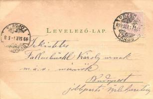 1899 Pozsony, Pressburg, Bratislava; vár, gőzhajók. W. Hagelberg kiadása, fény felé tartandó / castl...