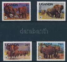WWF: Afrikai elefánt sor, WWF African elephant set