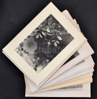 cca 1930 Egy utazás fényképei: osztrák ill. kis részben olasz városképek, látképek (Matterhorn, stb....