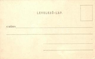 Trencsén, Trencín; várrom / Schlossruine / castle ruins