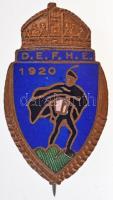 ~1919-1944. D.E.F.H.E. (Délvidéki Egyetemi és Főiskolai Hallgatók Egyesülete) zománcozott jelvény (18x31mm) T:2 / Hungary ~1919-1944. D.E.F.H.E. (Association of Southern Hungarian College and University Students) enamelled badge (18x31mm) C:XF