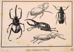 Haranghy Jenő: A rajzolás iskolája. Kezdettől a művészetig. Bp., Győző Andor kiadása. Kiadói vászonk...