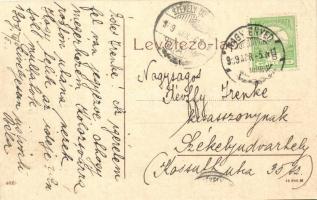 Nagyenyed, Aiud; Állami elemi és polgári leányiskola, hintó, Fesztinger Dávid üzlete / girl school, ...