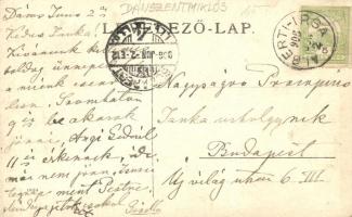 1906 Dánszentmiklós, Plósz-kúria, kastély. photo