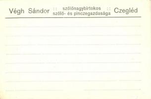 Cegléd, Végh Sándor szőlőnagybirtokos szőlő és pincegazdasága, présház a szőlővel és vasúttal, vagon...