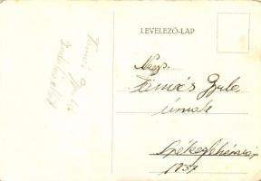 Magyar katonai repülős grafikai lap / Hungarian military pilot graphic art postcard, aircraft s: Gru...