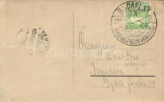 1909 Budapest, Magyar Országos Bélyegkiállítás, Popovics Mirkó gyűjteménye. So. Stpl photo (EK)