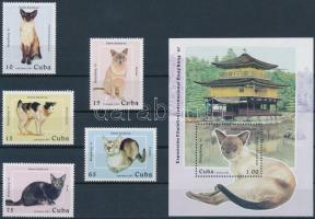 Stamp exhibition HONG KONG '97: Cats set + block, Bélyegkiállítás HONG KONG '97: Macskák sor + blokk