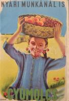 10 darabos régi magyar gyümölcsös propagandalap gyűjtemény albumban / 10 pre-1945 Hungarian fruit an...