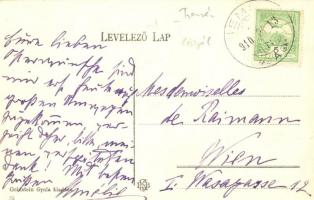 Nemsó, Nemsova; Üveggyár, vasútállomás, Goldstein Gyula üzlete és saját kiadása / glass factory, rai...