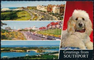 1966 A magyar labdarúgó válogatott által aláírt képeslap az angliai VB.ről / 1966 Autograph signed p...