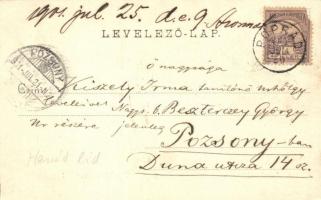 Abos, Obisovice; Hernád vasúti híd vonattal, faszállító szekerek / railway bridge with train, timber...