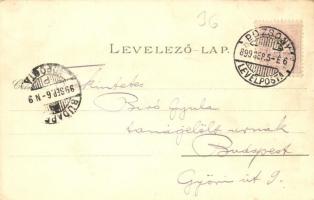 1899 Pozsony, Pressburg, Bratislava; Fő templom, Színház, Sétatér, Városháza, Vár / church, theater,...