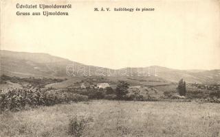 Újmoldova, Moldova Noua; MÁV szőlőhegy és pince. Stürmer Adolf kiadása / Hungarian state railways vineyards and cellar (EK)