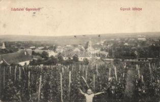 Gyorok, Ghioroc; látkép, szőlőtelep. Eichner Adolf kiadása / general view, vineyards (EK)