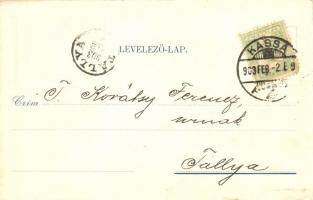 Kassa, Kosice; Vizy Domokos fűszer és csemege üzlete, belső. reklámlap / shop advertisement, interio...