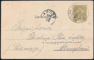 1903 Zsolna, Sillein, Zilina; Iparkiállítás, Holéczy P. és fia liptószentmiklósi szűcsáru cégének pa...