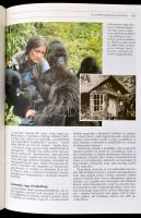 A múlt nagy rejtélyei. Bp., 1992. Reader's Digest. Kiváló állapotban