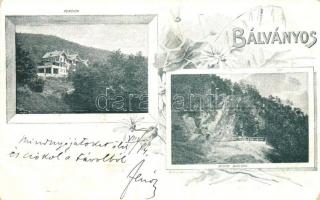 1899 Bálványos, szálloda, pension, Büdös barlang / hotel, cave. Floral