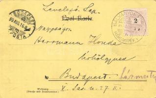 1899 Bálványos, szálloda, pension, Büdös barlang / hotel, cave. Floral