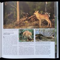 Falcsik Mária, Sárváry Gabriella, Csaba Emese: Az állatvilág kalendáriuma  Bp., 2000. Reader's ...