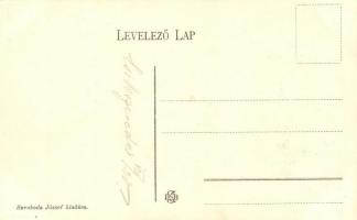 Csíkszereda, Mercurea Ciuc; M. kir. földmíves iskola, utca / farmer school, street