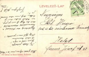 Kolozsvár, Cluj; Új állattan intézet / new zoology institute (EK)