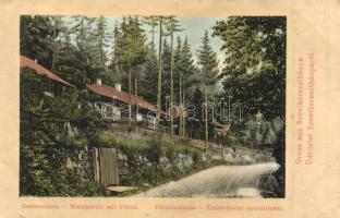 Szentkeresztbánya, Szentegyháza, Vlahita; fürdőkolónia, erdei részlet nyaralókkal / spa colony, forest with villas (fl)