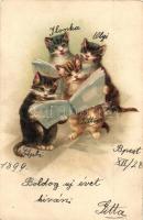 1899 Cats reading. litho (Rb)