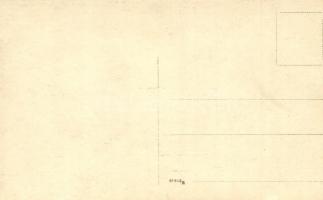 Apponyi Albert úri társaság között egy Vöröskeresztes nővérrel / Albert Apponyi with red Cross nurse...