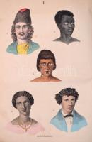 Martin, F.:Naturgeschichte für die Jugend beiderlei Geschlechts. Mit 262 Abbildungen auf 32 Tafeln. Stuttgart, 1864. Schmidt & Spring, 32 színezett fametszetes táblával. Korabeli félvászon kötésben, néhány lap foltos, egyébként jó állapotban. / With 32 colored woodcuts. In half linen binding, in good condition