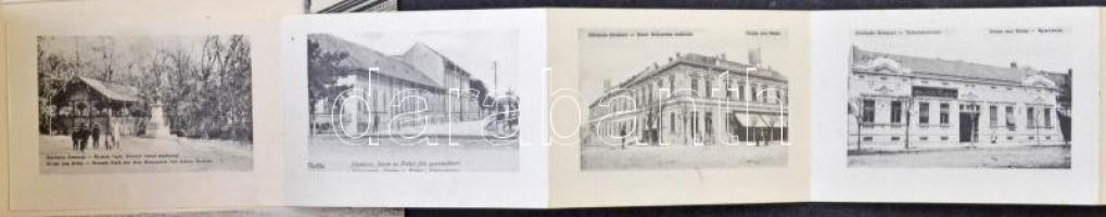 Detta, Ghedu, Deta; Fő utca, városháza, üzletek. leporellolap. Ballon József kiadása / main street, ...