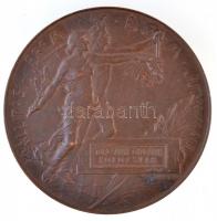 Beck Ötvös Fülöp (1873-1945) 1896. Milleniumi kiállítási emlékérem Br emlékérem Turcsányi Gyula részére. 1896-IKI EZREDÉVES ORSZÁGOS KIÁLLÍTÁS - ÉRSEKMEGYEI KÖNYVTÁRNAK EGER / KIÁLLÍTÁSI ÉREM AZ ÉRDEM JUTALMÁUL (135g/70,5mm) T: / Hungary 1896. Medal of the Millenium Exhibition Br commemorative medallion for Gyula Turcsányi. Sign.: Fülöp Beck Ötvös (135g/70,5mm) C: HP 752.