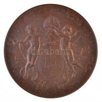 Beck Ötvös Fülöp (1873-1945) 1896. "Milleniumi kiállítási emlékérem" Br emlékérem Turcsány...