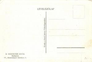 Budapest VIII. Rezső tér, I. Ferenc József emléktemplom. Kiadja a Szent István Fillér Egyesület (EK)