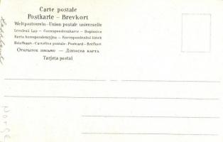 Norwegian skiing lady. litho