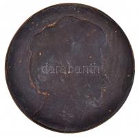 1920. "Dr. Fleischmann Sándorné MCMXX" egyoldalas Br plakett. Szign.: FP (475g/183mm) T:1-...