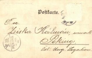 Tianjin, Tientsin; Internationale Gruppe / International group. Franz Scholz 9236.  (Rb)