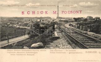 1902 Tatabánya, Magyar Általános Kőszénbánya rt. tata szénbánya, vasúti sín. Pozsonyi Mezőgazdasági Kiállítás. Kiadja Nobel Adolf