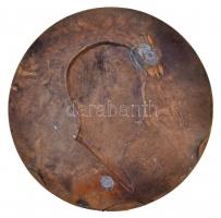 Törzsök Károly (1906-1964) 1947. "Dr. Szoboszlay Ferenc tanácsnok" egyoldalas, öntött Br p...