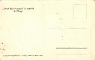 Budapest XII. Svábhegy, Tornyos Antal Dréher nagyvendéglője, kávéház, Áldor Dezső felvétele, Tolnai ...