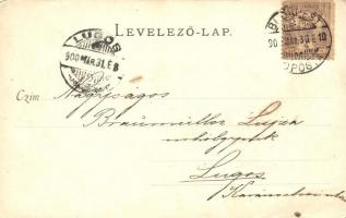 Budakeszi, Kilátás a vadászlakról (EK)