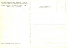 Érdliget, Két új vasútállomás. Kiadja Gróf Károlyi Imre parcellázási irodája