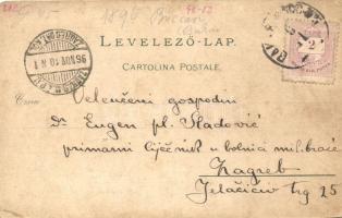 1896 (Vorläufer!) Bakar, Bukkari, Buccari; Art Nouveau, floral, litho (EK)